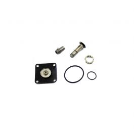 GC Valves KS211AF02C5CG4 Solenoid Valve Repair Kit + Plunger/Tube