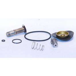 GC Valves KS211AF02K4EG5 Valve Repair Kit