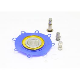 GC Valves KS211AF02T1GJ5 Rebuild Kit