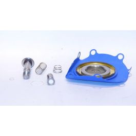 GC Valves KS211AF02T2GJ5 Valve Rebuild Kit