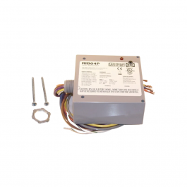 Functional Devices RIB04P DPDT Power Control Relay 20A 480V