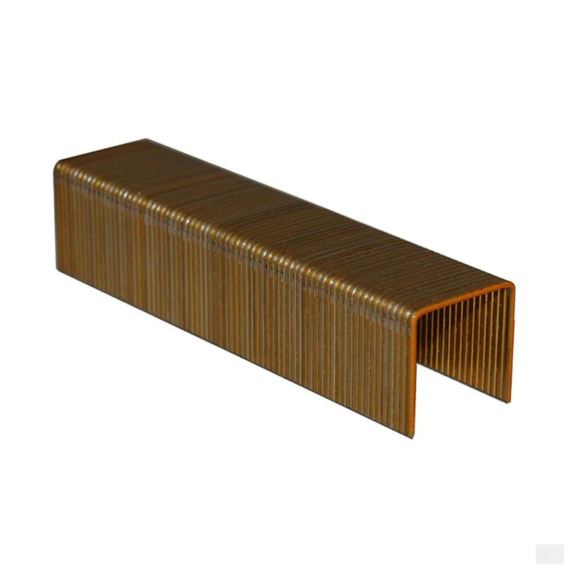 SUNRISE SENCO P21 Series 2 in. x 1 in. Crown Staples (5,000/Box)
