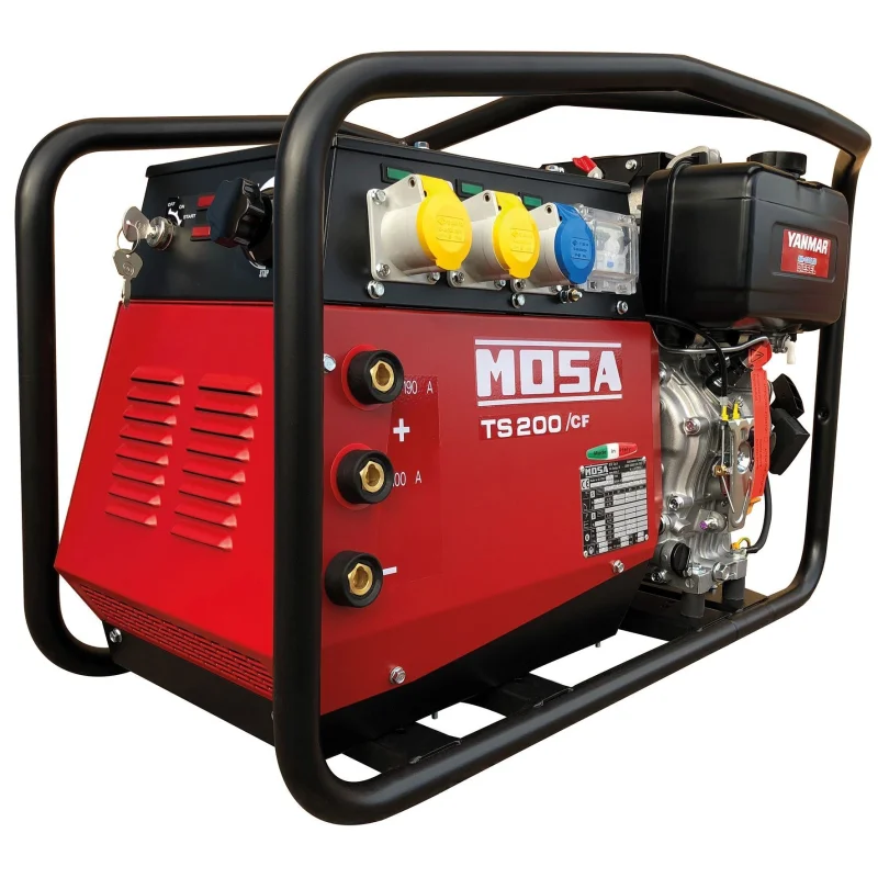 TS200 DES/CF Diesel Welder Generator 110/230V 190A