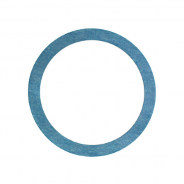 Xylem-Bell & Gossett V33001 Gasket For Triple Duty Valve